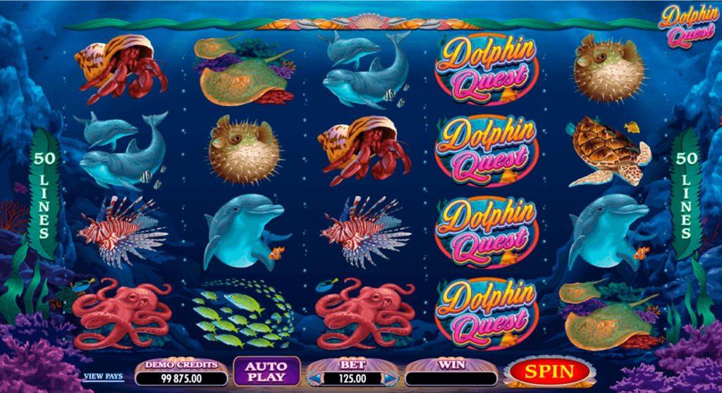 Aperçu du jeu de machines à sous Dolphin Quest